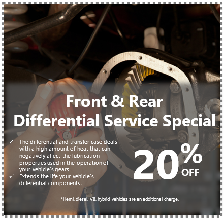 Differential Fluid Driveline Service Special