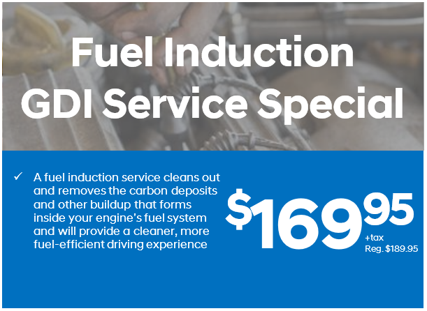 Fuel Induction Service Special