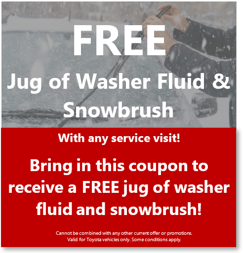 Free Jug of Washer Fluid and Snowbrush
